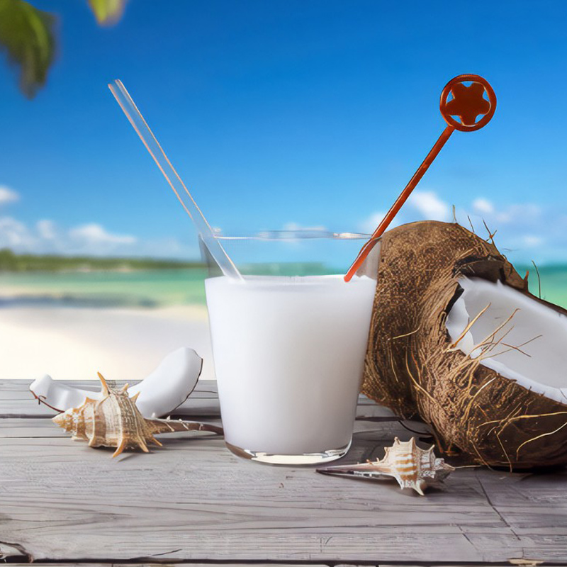 Watson Coconut Juice | 华生-生榨椰汁 380ml